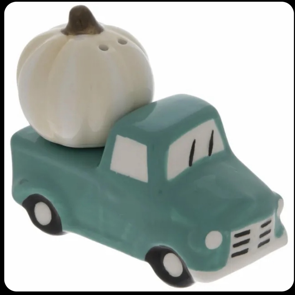 NIB Robert Stanley Salt & Pepper Shakers
